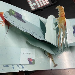立体书印刷